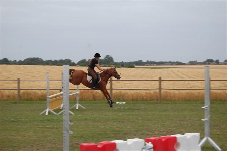 Ida og Cognac - Tina og Jasper til spring undervisning  billede 26