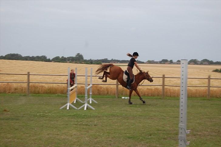 Ida og Cognac - Tina og Jasper til spring undervisning  - Dårlig landing:)!! billede 27