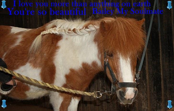 Billeder jeg har lavet  - Til Aaby 
Det er ku n hende der må tage billedet billede 12