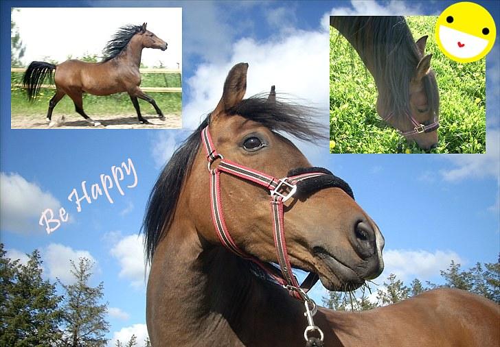 Billeder jeg har lavet  - Til Cecilie 
Det er kun hende der må tage billedet billede 13