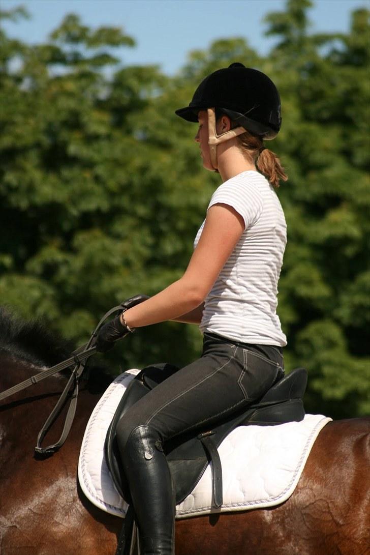 Dressur på Flyinge billede 9