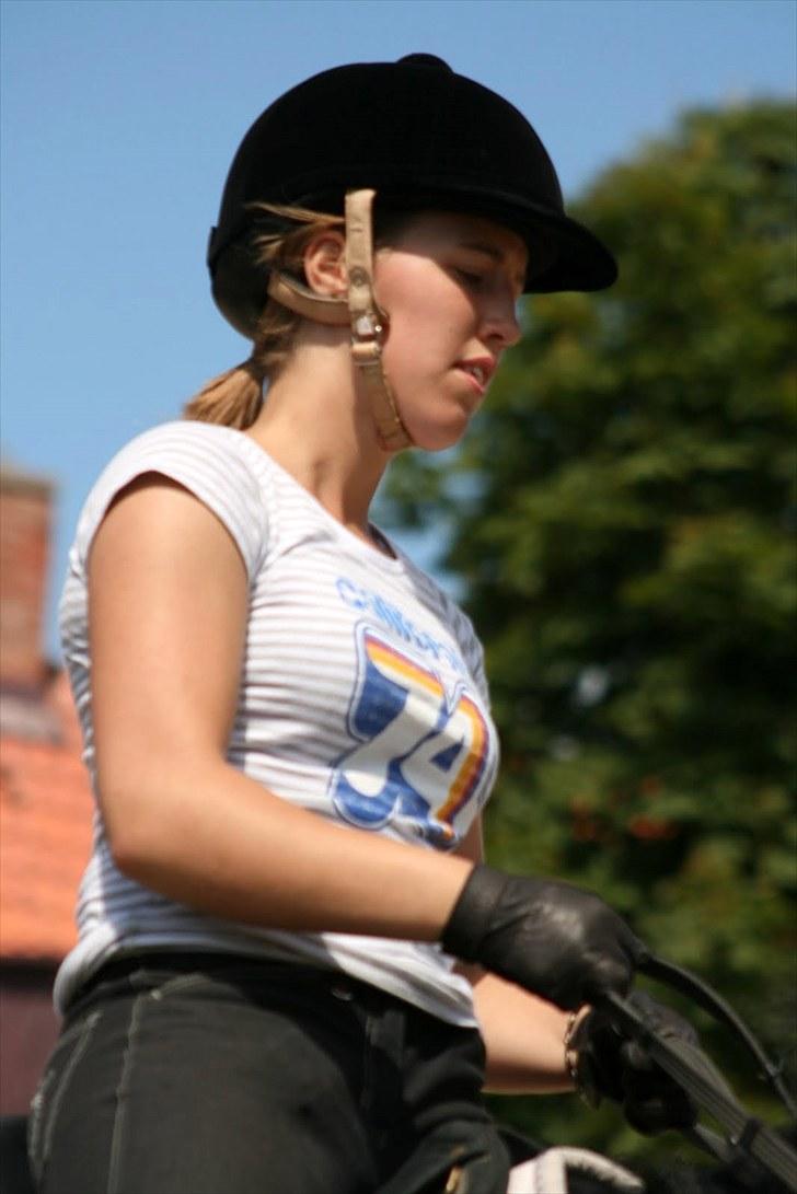 Dressur på Flyinge billede 11