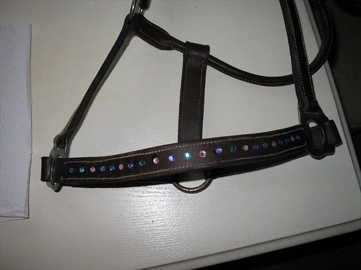 Pandebånd med sten billede 11