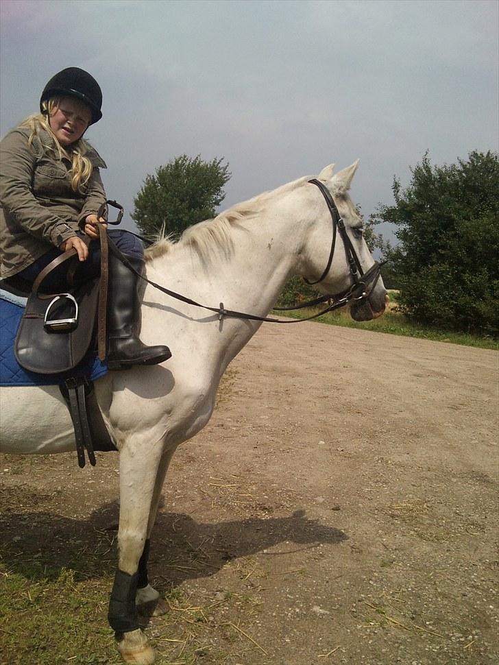 Mosegrisen og sarah billede 1