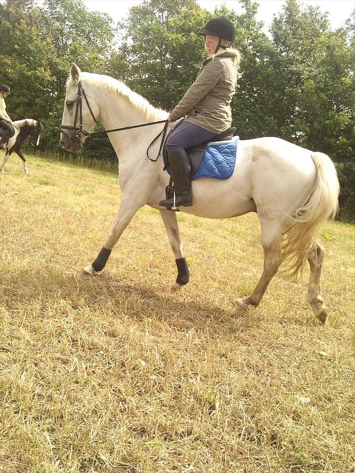 Mosegrisen og sarah billede 7