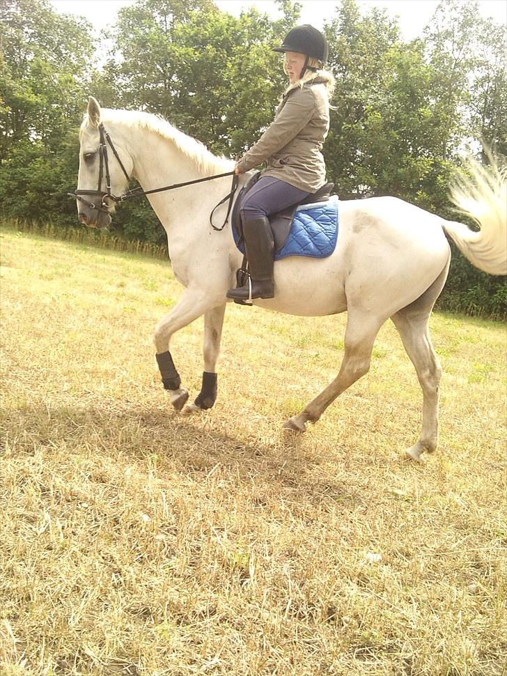 Mosegrisen og sarah billede 8