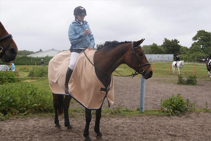 Stævne Bylderup Bov  billede 2