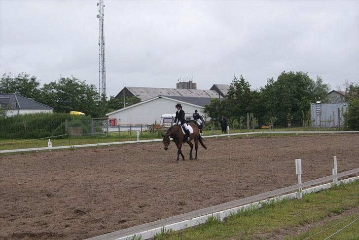 Stævne Bylderup Bov  billede 4