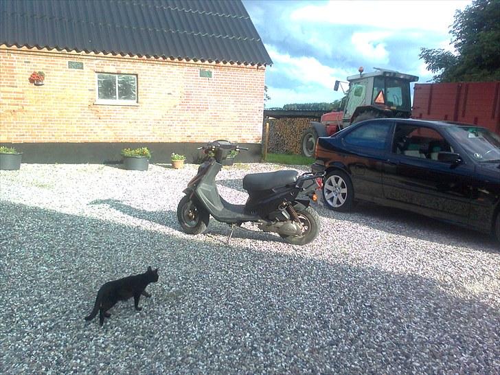 Min scooter!! :D billede 2