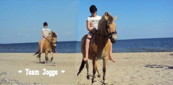 PhotoFiltre Billeder billede 2