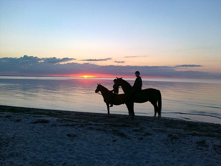 Sommerferie 2010 - På en rigtig dejlig tur ved stranden. Vi var der lige på det rigtige tidspunkt da solen var ved at gå ned:) det var rigtig dejligt:) billede 1