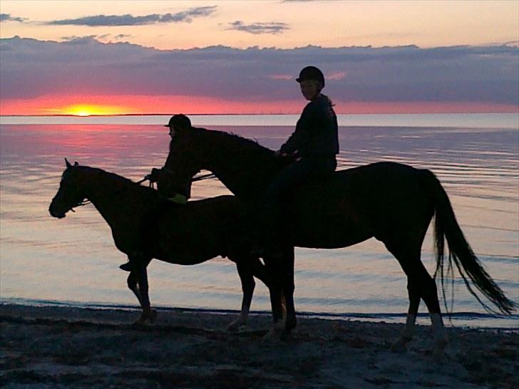 Sommerferie 2010 billede 2