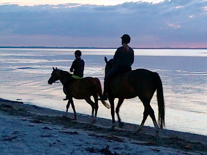 Sommerferie 2010 billede 3