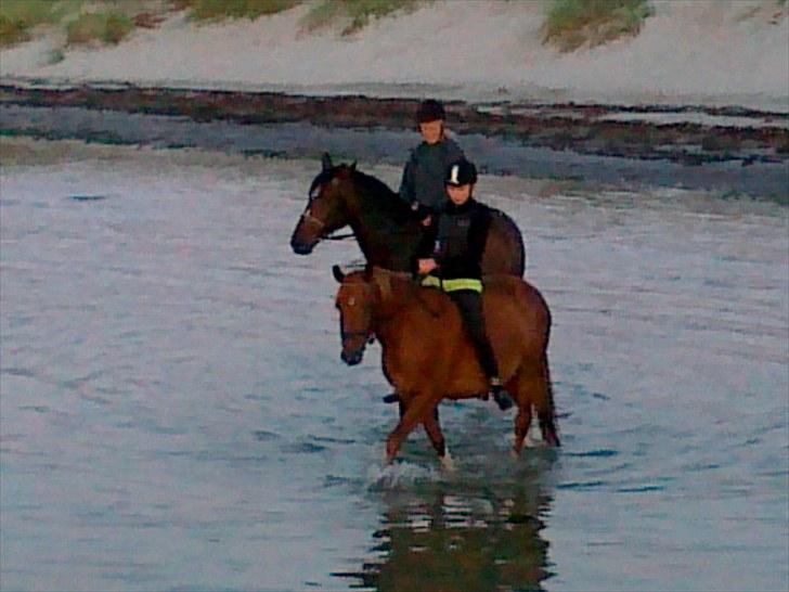 Sommerferie 2010 billede 4