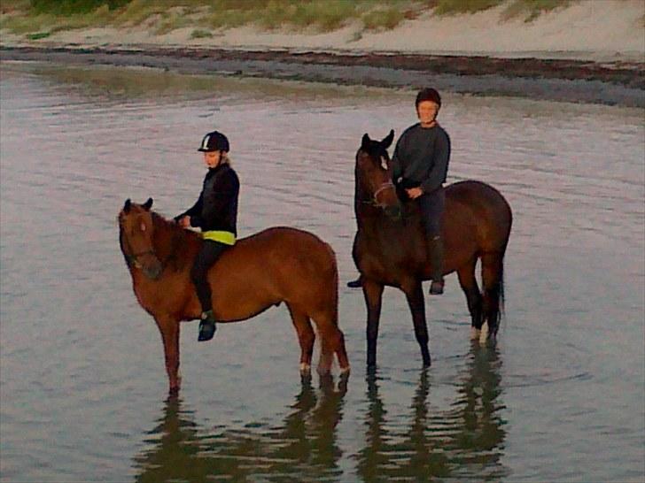 Sommerferie 2010 billede 5