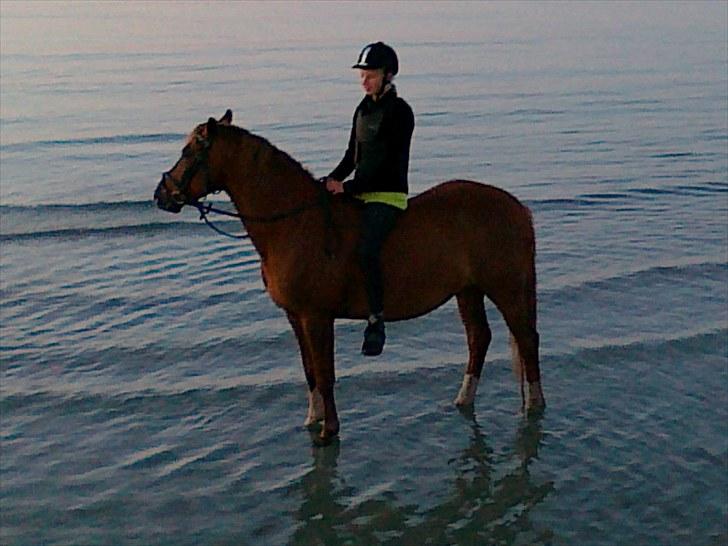 Sommerferie 2010 - Mig og Moonlight i vandet. billede 6