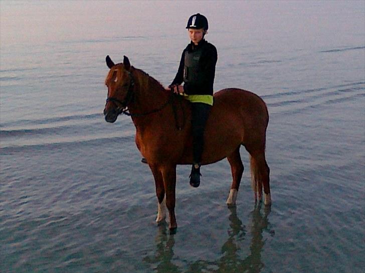 Sommerferie 2010 billede 7