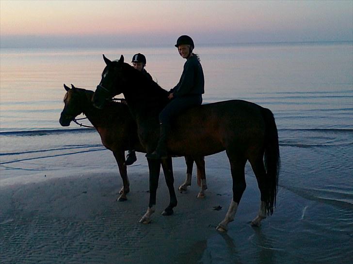 Sommerferie 2010 billede 8