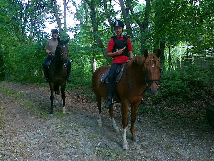 Sommerferie 2010 - Mig & Moon og min far & Troja på tur. Her står vi oppe ved vores sommerhus:) billede 9