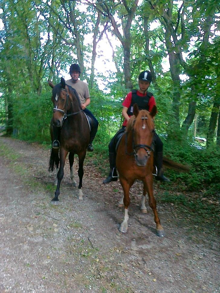 Sommerferie 2010 billede 10