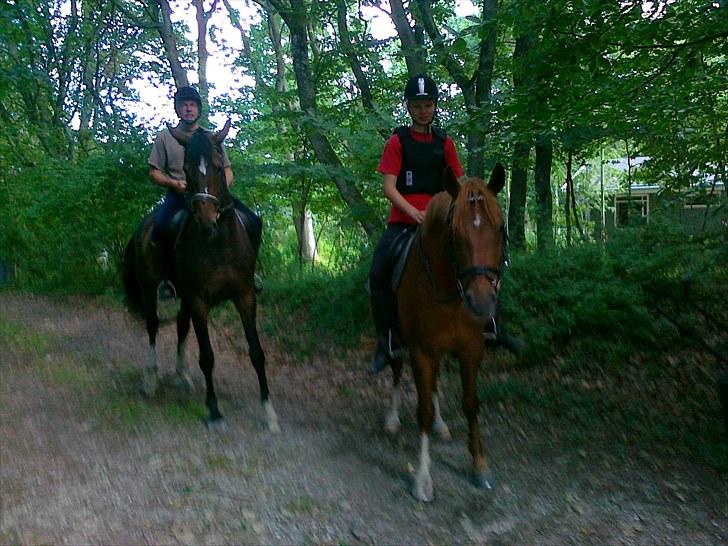 Sommerferie 2010 billede 11