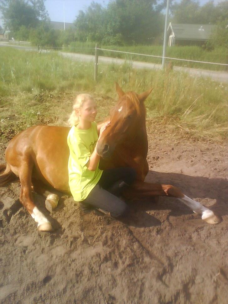 Sommerferie 2010 billede 15