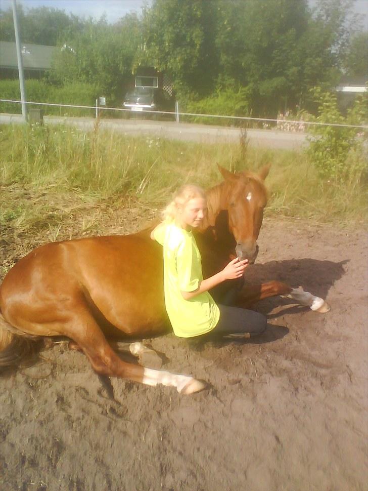 Sommerferie 2010 billede 16