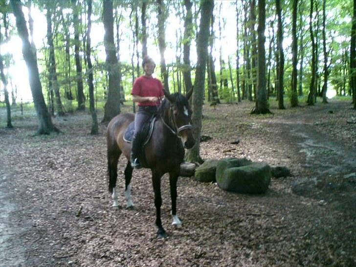 Sommerferie 2010 - Min søster og Troja i skoven. billede 18