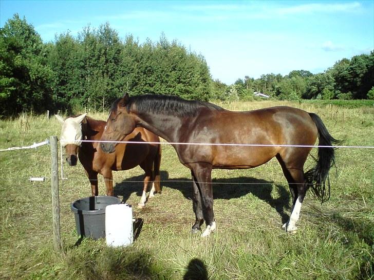 Sommerferie 2010 billede 22