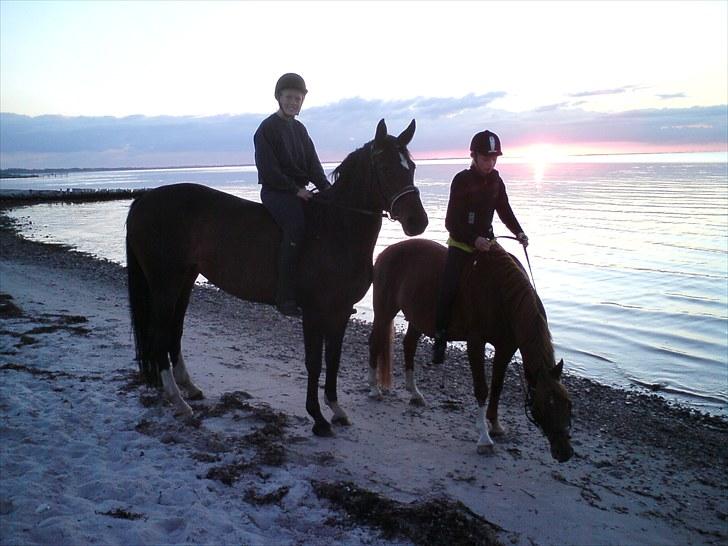 Sommerferie 2010 - Igen ved vandet billede 24