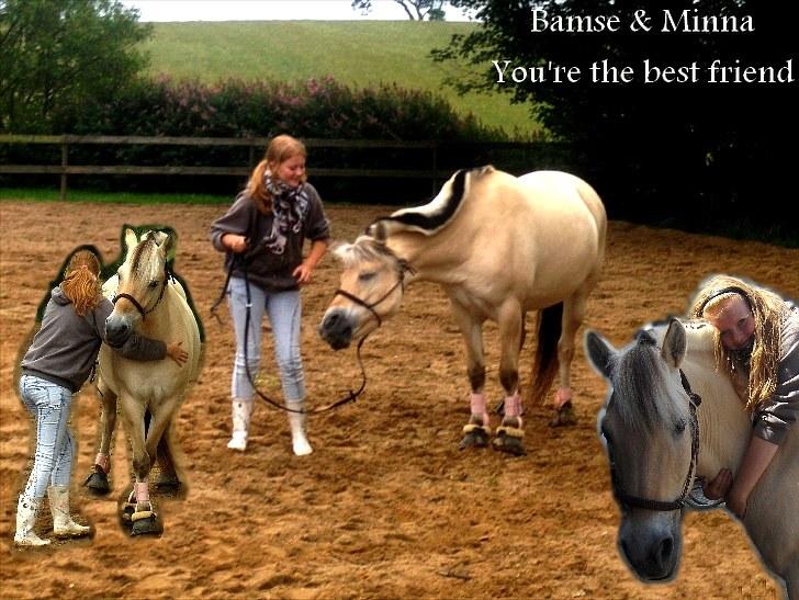 PhotoFiltre Billeder - Til Bamse og Minna :D billede 3