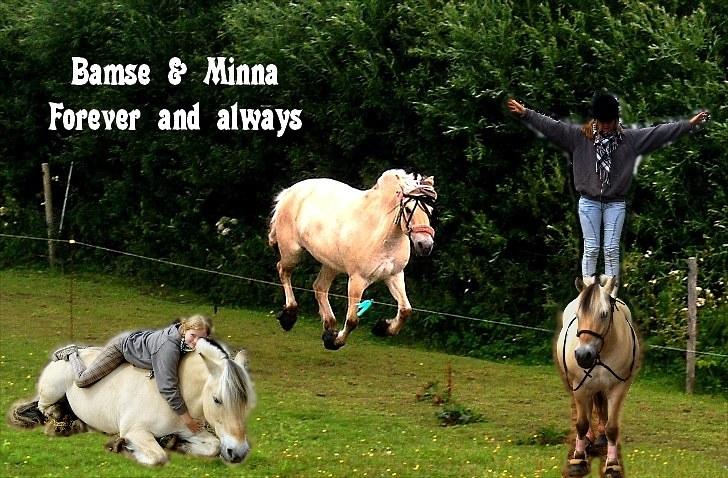 PhotoFiltre Billeder - Til Bamse og Minna :D billede 4