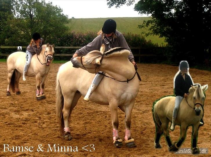 PhotoFiltre Billeder - Til Bamse og Minna :D billede 5