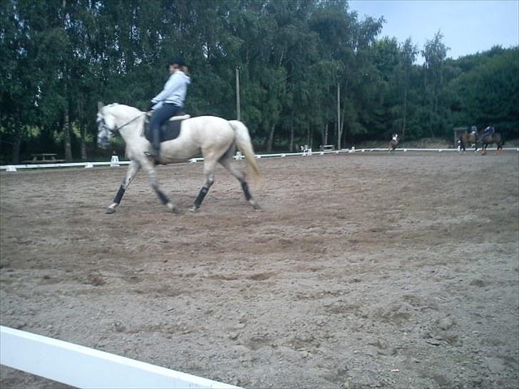 Nye billeder af maja :) billede 25