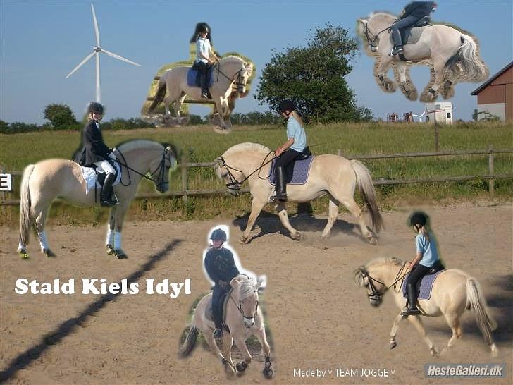 PhotoFiltre Billeder - Til Stald Kiels Idyl :D billede 6