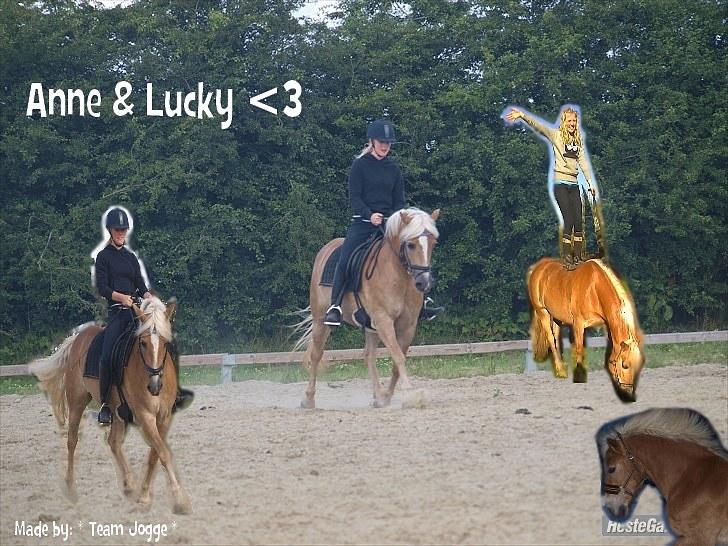 PhotoFiltre Billeder - Til Anne og Lucky :D billede 9