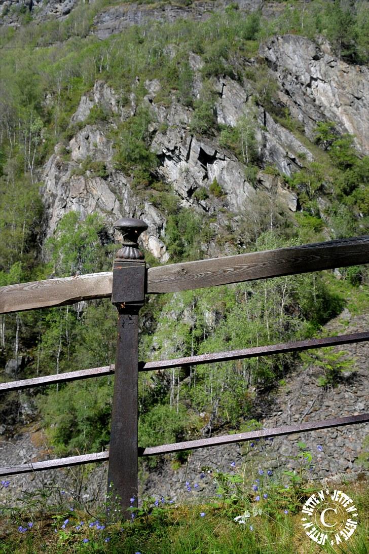 Norge 2010 - Vindhellavejen (Lærdalen) billede 5