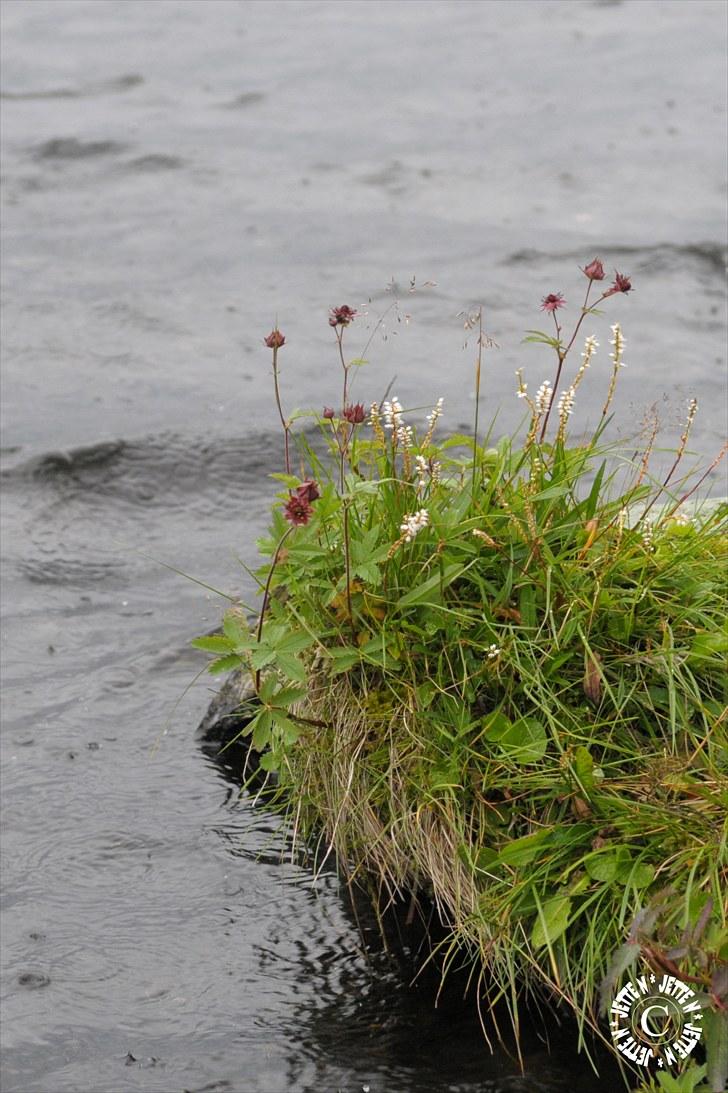 Norge 2010 billede 9