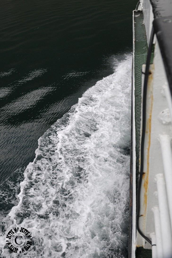 Norge 2010 - På vej over Nordfjorden billede 30