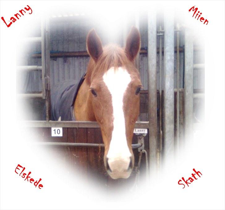 Billeder jeg har lavet  - Til Camilla 
Det er kun hende der mp tage billedet billede 14