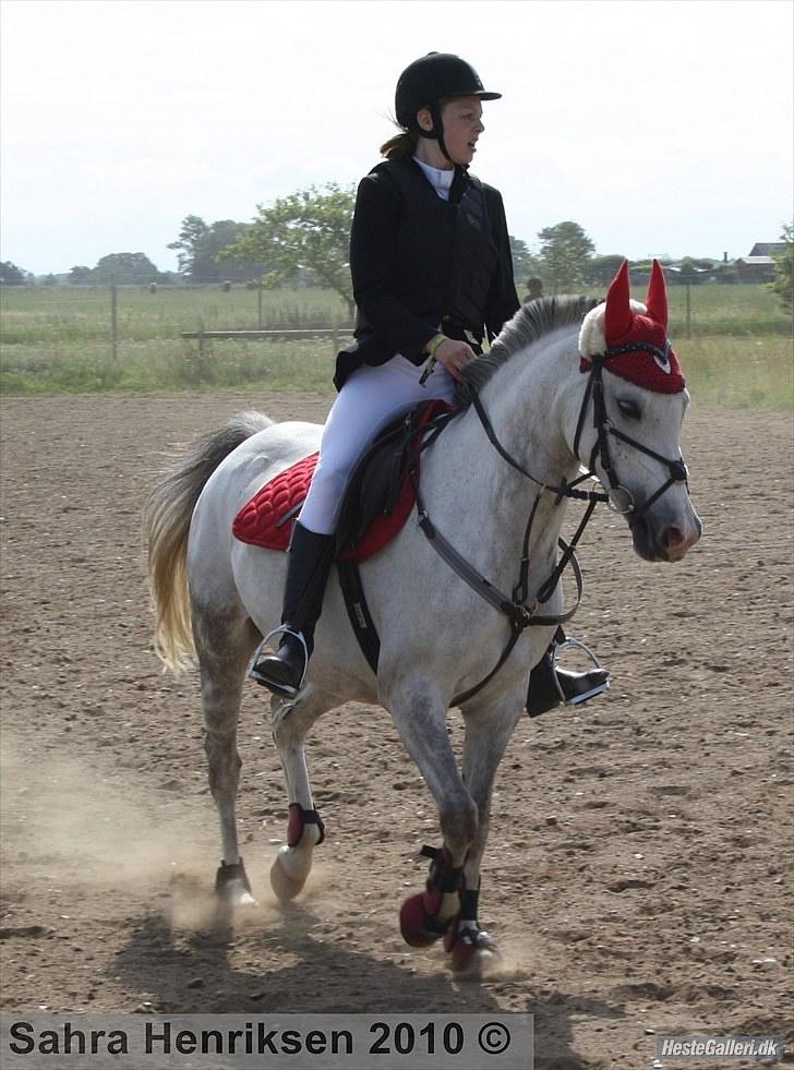 Midtjysk ridecenter - Katja billede 3