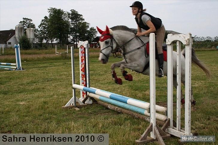 Midtjysk ridecenter - Katja billede 4
