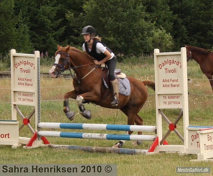 Midtjysk ridecenter - Sofie billede 5