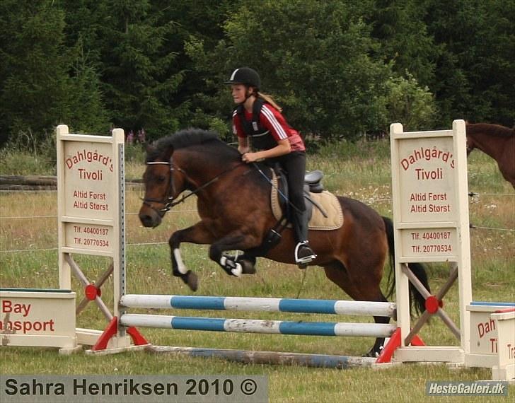 Midtjysk ridecenter - Nanna billede 6