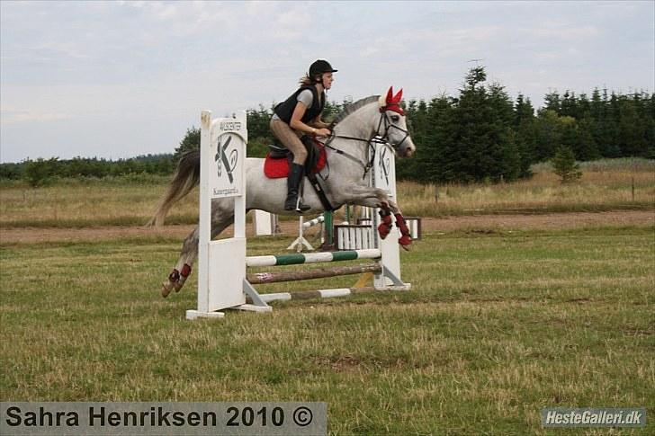 Midtjysk ridecenter - Katja billede 7