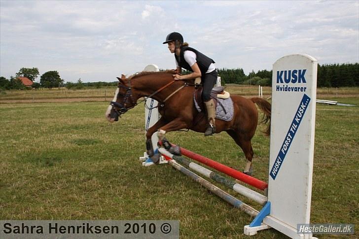 Midtjysk ridecenter - Sofie billede 8