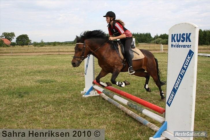 Midtjysk ridecenter - Nanna billede 9