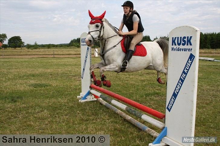 Midtjysk ridecenter - Katja billede 10