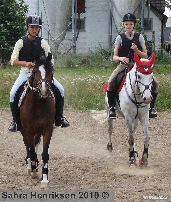 Midtjysk ridecenter - Emma+katja billede 12