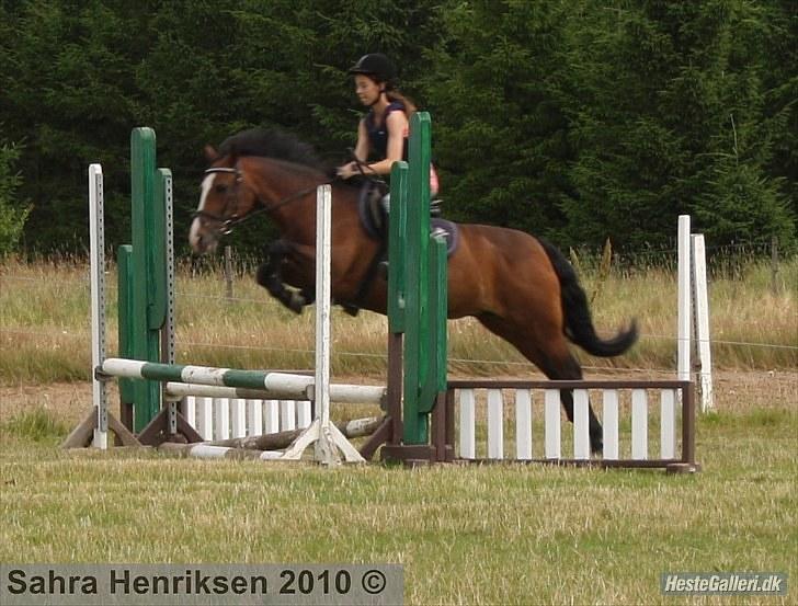 Midtjysk ridecenter - Amalie billede 13